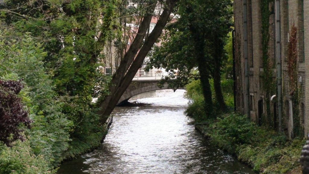 Canal estrecho en Brujas rodeado de vegetación, con un puente de piedra al fondo parcialmente oculto por los árboles